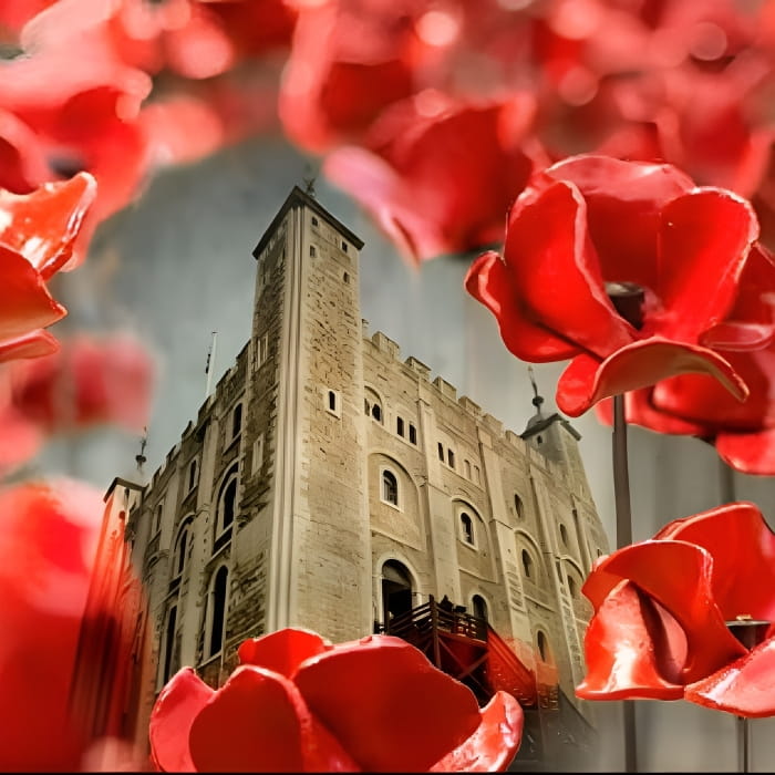 Poppies at the Tower of London
